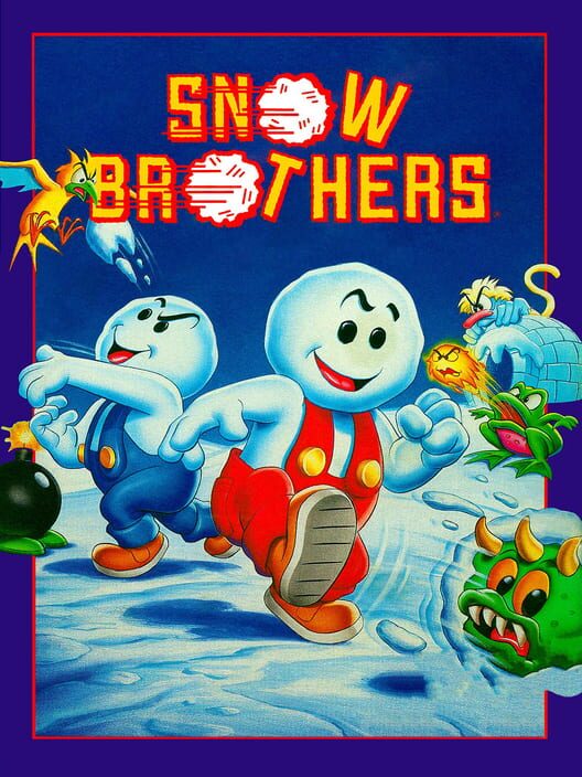 Snow Brothers cover art