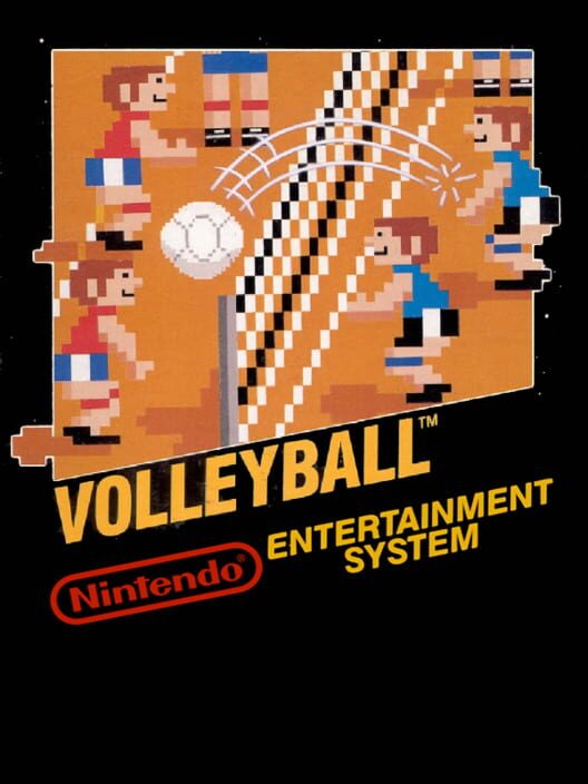 Volleyball cover